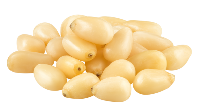 Pine nut isolated on white background, full depth of field