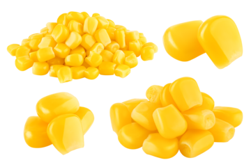 corn seed isolated on white background, full depth of field