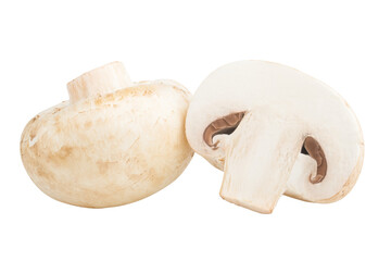 mushroom, champignon, isolated on white background, full depth of field