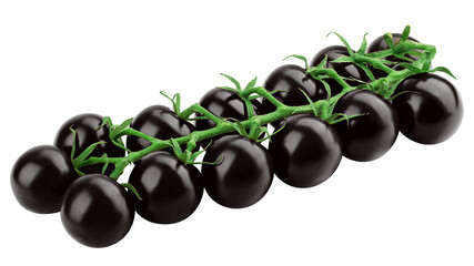 black Tomato, isolated on white background, full depth of field