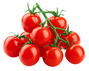 tomato cherry on branch isolated on white background, full depth of field