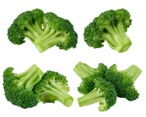 Broccoli isolated on white background, full depth of field