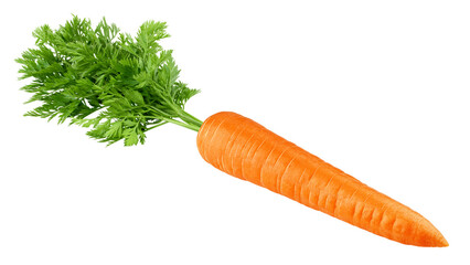 carrot isolated on white background, full depth of field - Powered by Adobe