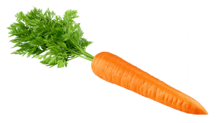 carrot isolated on white background, full depth of field