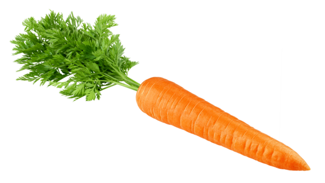 carrot isolated on white background, full depth of field