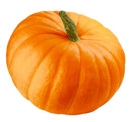 Pumpkin isolated on white background, full depth of field