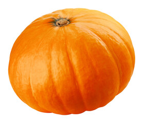 Pumpkin isolated on white background, full depth of field