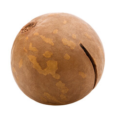 macadamia, nut, isolated on white background, full depth of field