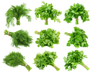 Parsley, Coriander, Dill isolated on white background, full depth of field