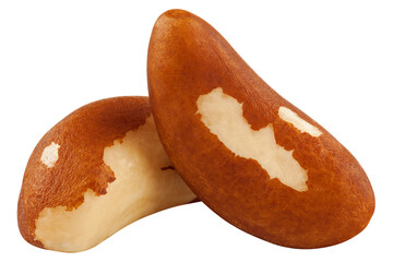 Brazil Nut isolated on white background, full depth of field