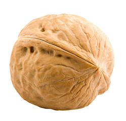Fototapeta premium walnut, nut, isolated on white background, full depth of field