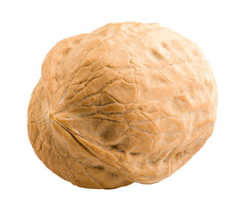 Obraz premium walnut, nut, isolated on white background, full depth of field
