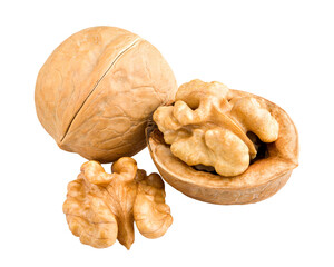 walnut, nut, isolated on white background, full depth of field