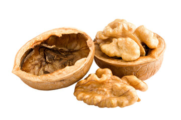 walnut, nut, isolated on white background, full depth of field
