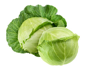 cabbage isolated on white background, full depth of field