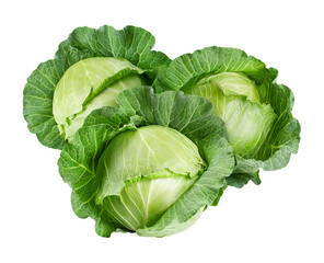 Obraz premium cabbage isolated on white background, full depth of field