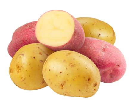 yellow and red potatoes , isolated on white background, full depth of field