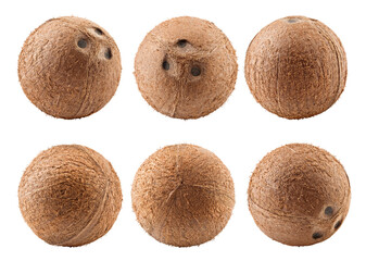 coconut, isolated on white background, full depth of field