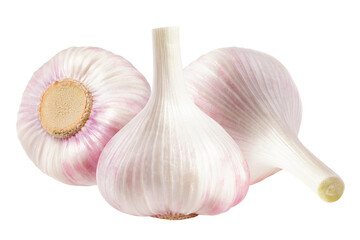 garlic, isolated on white background, full depth of field