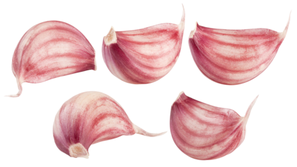 garlic, isolated on white background, full depth of field