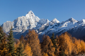 Siguniang mountain in Sichuan province, China