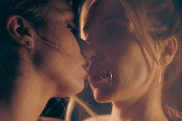 Couple of young blonde women approaching for a romantic kiss (3/6)