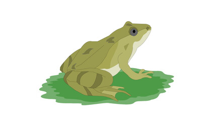 green Frog