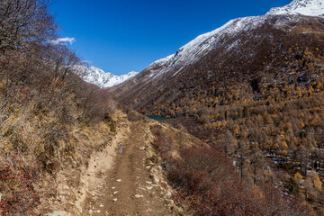 Hiking trail in Haizi valley near Siguniang mountain in Sichuan province, China