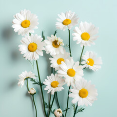 Daisies Flowers Background. Generative AI