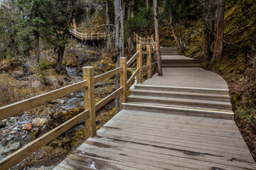 Fototapeta premium Boardwalk in Changping valley near Siguniang mountain in Sichuan province, China