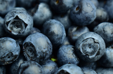 blueberries on a wooden table