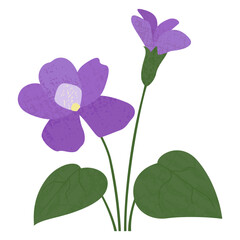Isolated purple violets, in a cut paper style with textures
