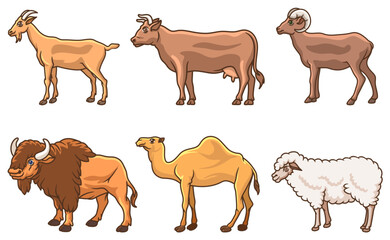 Free vector bundle of vertebrate animals for sacrifice and Eid al-Adha