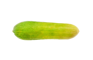 Fresh cucumber isolated on transparent background. Freshness vegetable, harvest and ingredients for cooking food. png with transparency