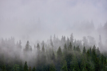 Abstract landscape in the mountains, with fog