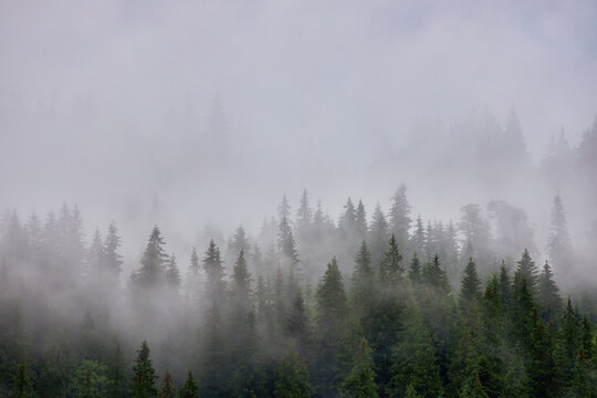 Abstract landscape in the mountains, with fog © Ryzhkov Oleksandr