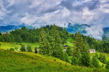 springtime in the alps