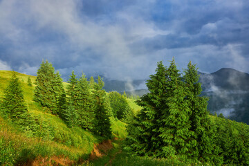Summer landscape in mountains