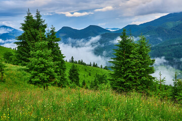 Summer landscape in mountains and the blue sky