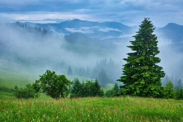 Landscape with fog in mountains