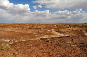 Rugged Landscape Petrified Forest Arizona