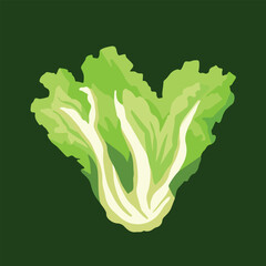 Lettuce green leaves vegetable vector illustration isolated on green square background. Simple and flat art styled drawing.