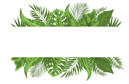 card with a frame in the center and a background of tropical leaves in a flat style.