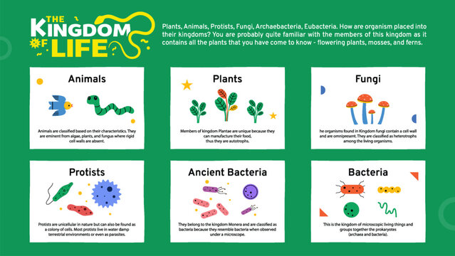 Science Infographics of Six Kingdoms of life - Vector illustration