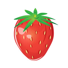 One strawberry on a white background