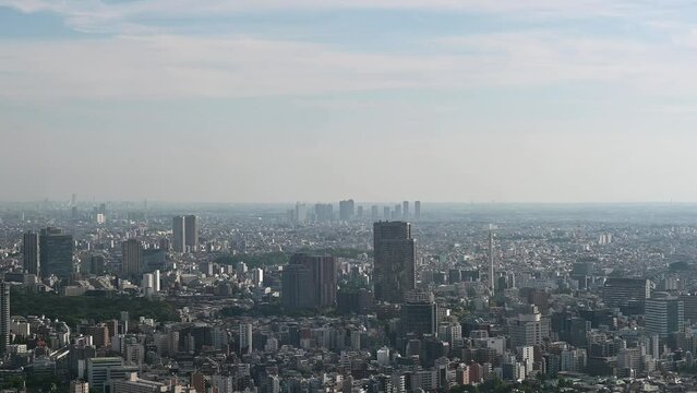 展望台から東京の街並みを眺める