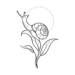 A snail on a leaf looks at the sun. Vector illustration. © Vasili