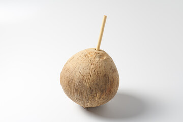 ココナッツ　白背景イメージ