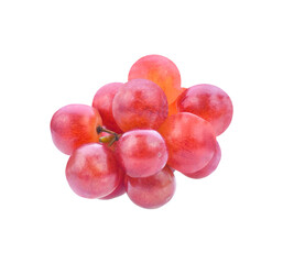 Grapes. Red grape. Grape branch isolated transparent png