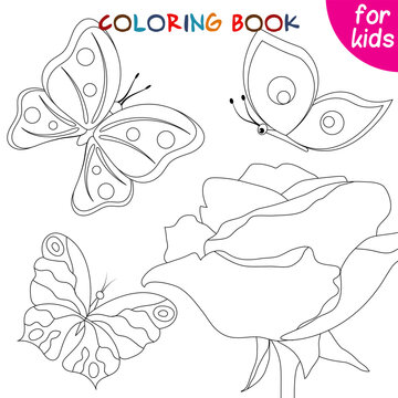 Butterflies collection. Butterflies fly around the rose. Coloring book page